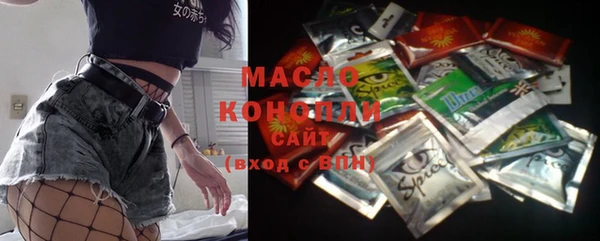 гашик Алексин