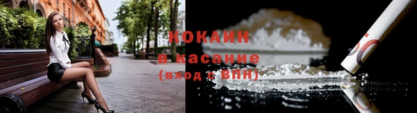 твердый Алексеевка
