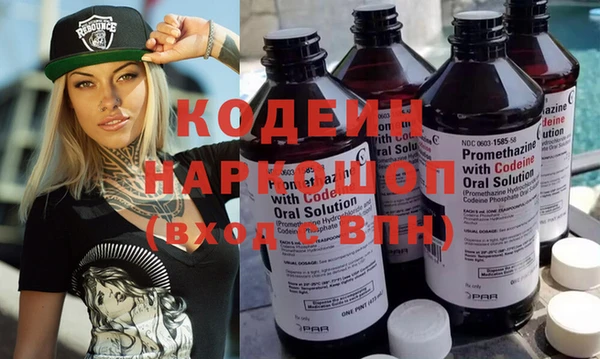 гашик Алексин
