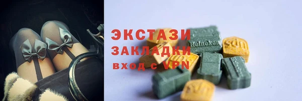 гашик Алексин