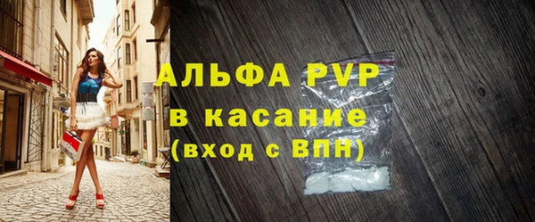гашик Алексин