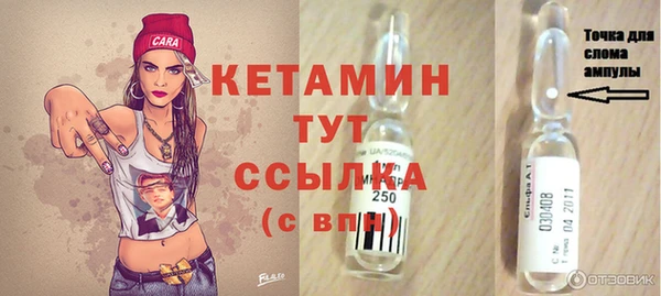 гашик Алексин