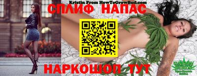 mdpv Партизанск