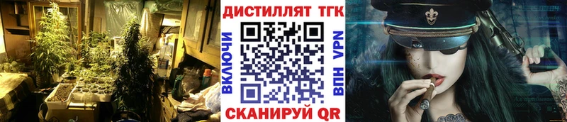 закладки  Махачкала  ТГК концентрат 