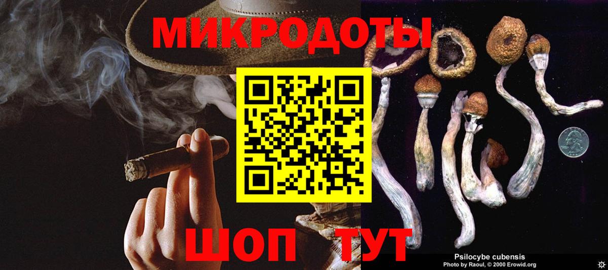 Псилоцибиновые грибы Magic Shrooms Махачкала